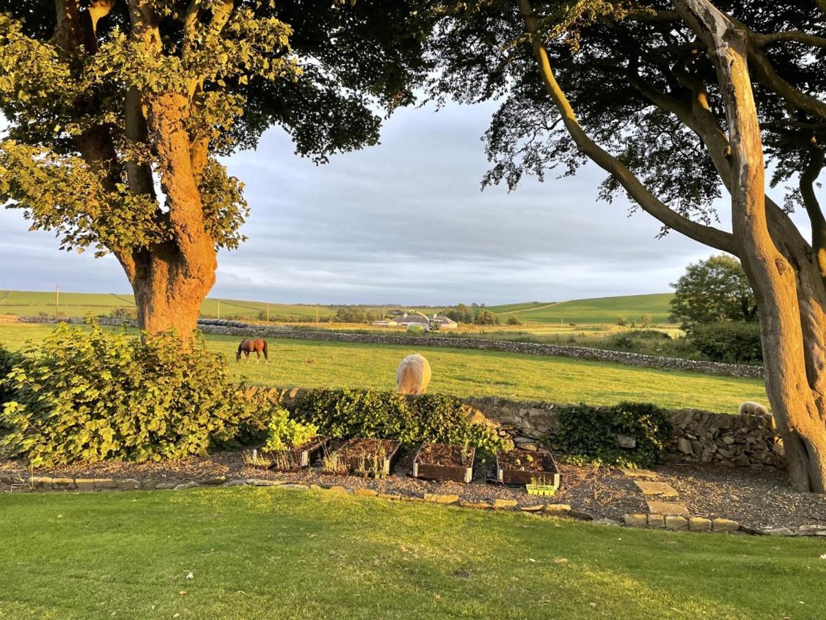 Galloway Farmstay Claunch Ньютон Стюарт Экстерьер фото